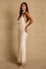 Noella Champagne Sequin Maxi Dress