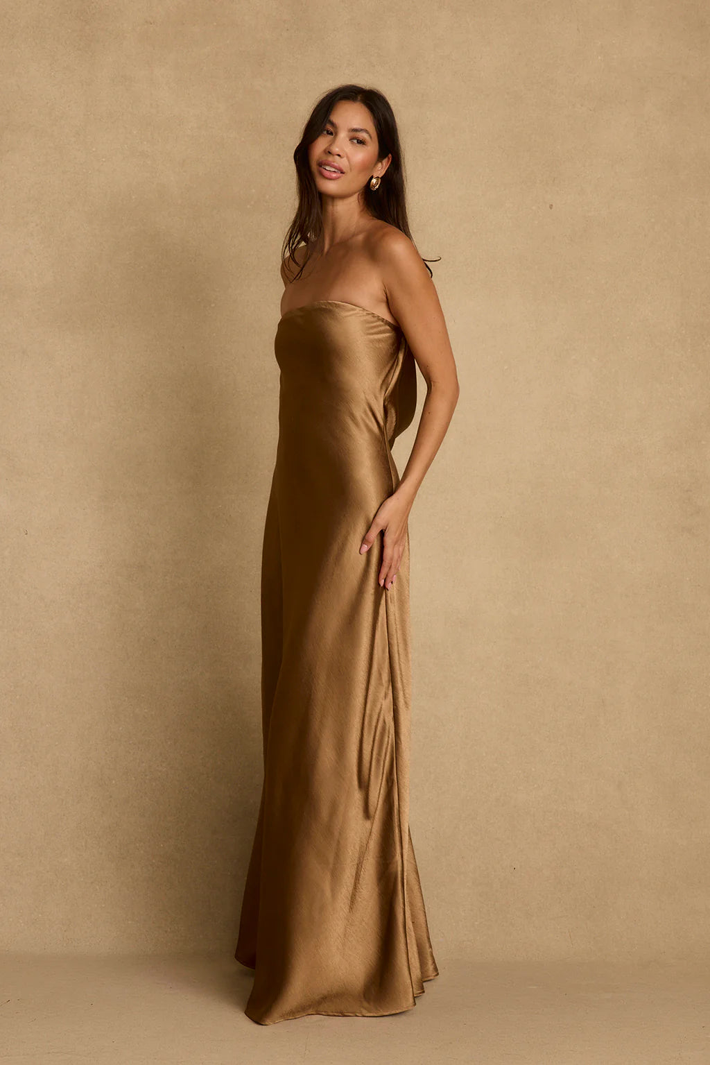 Natalia Bronze Strapless Maxi Dress