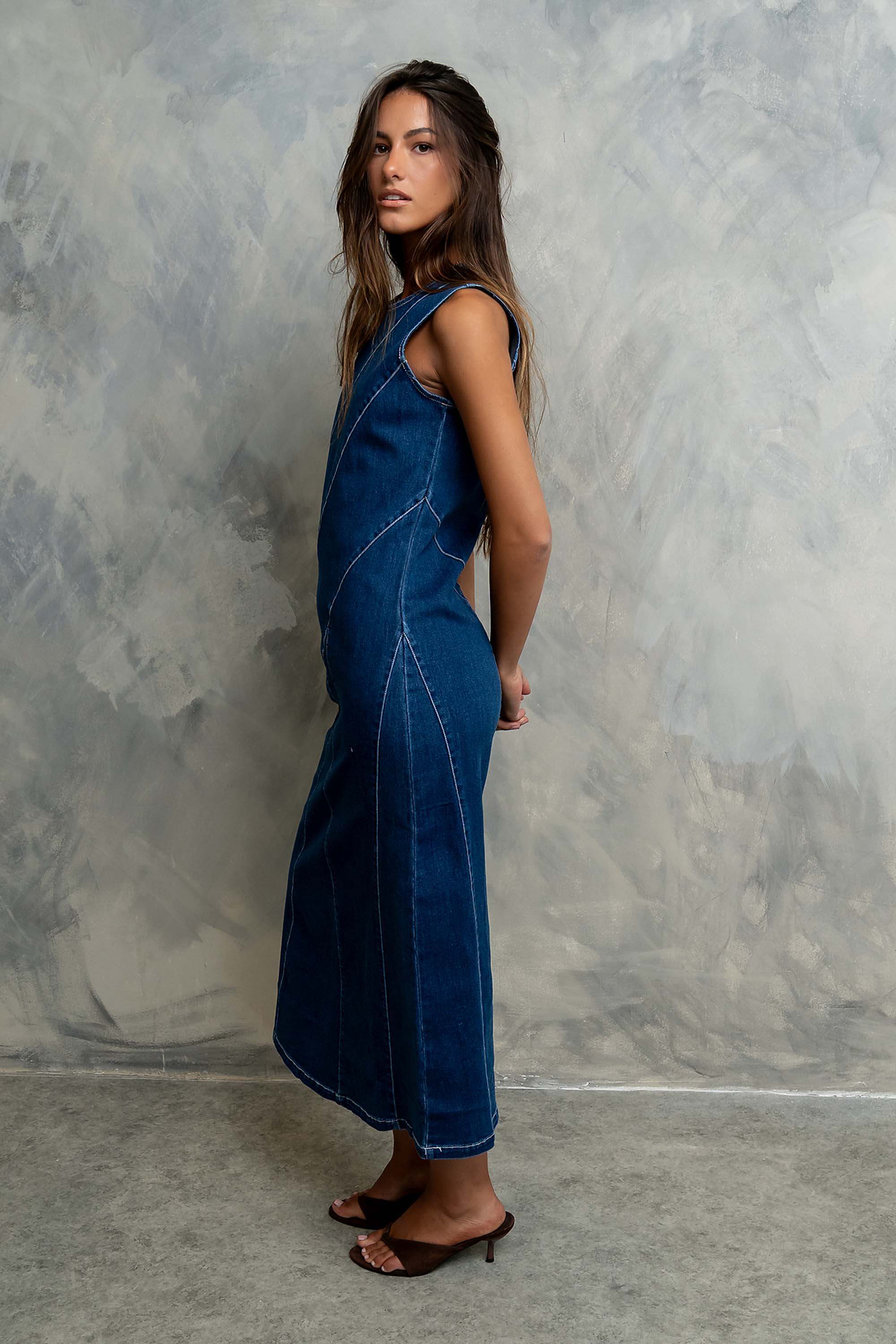 Raelynn Denim Midi Dress