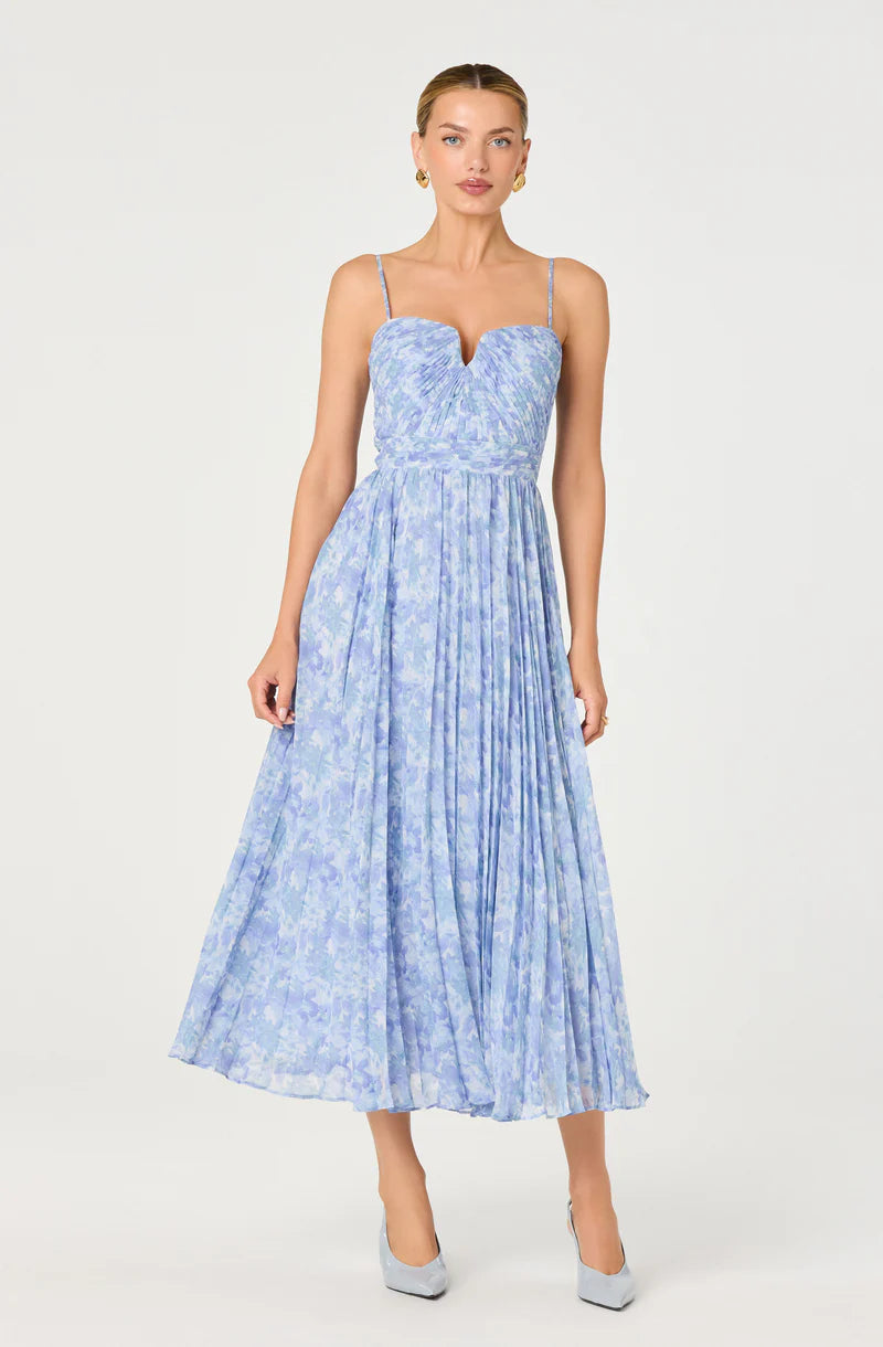 Bayley Floral Pleated Maxi Dress-Blue floral